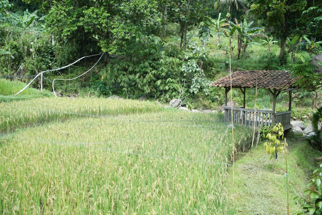 Tirta Arsanta Hot Springs&villa Bogor