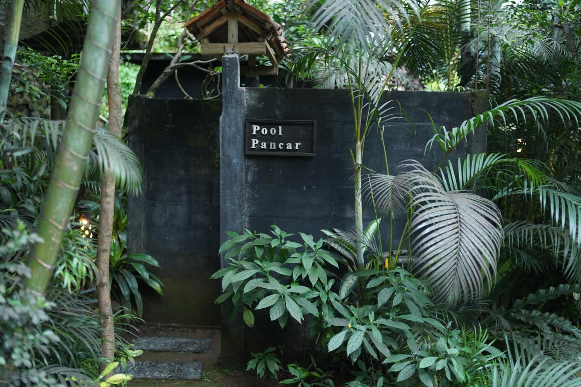 Tirta Arsanta Hot Springs&villa Villa