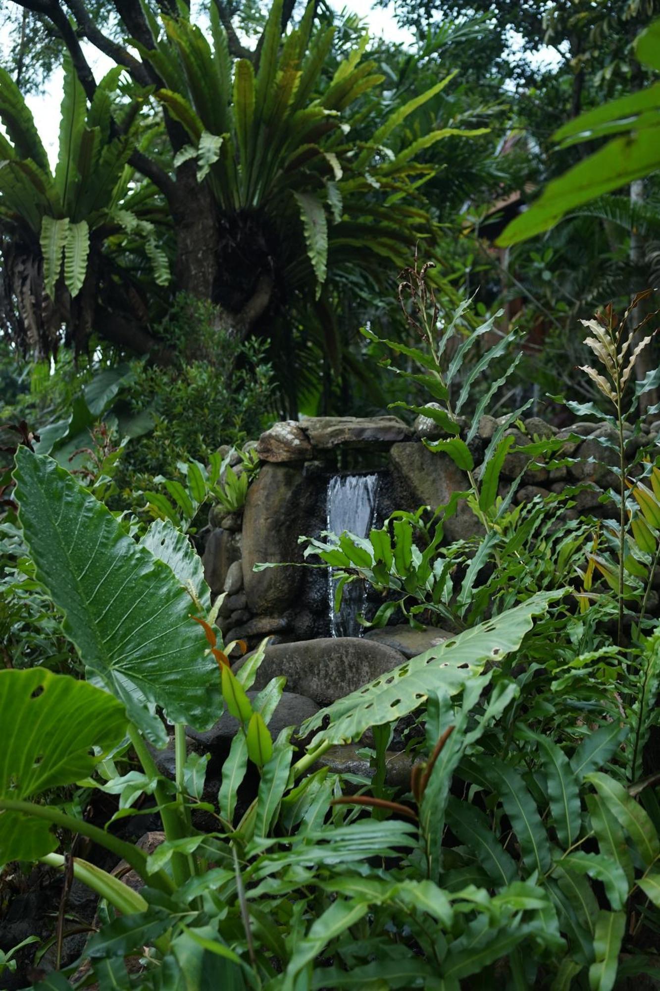 Tirta Arsanta Hot Springs&villa Bogor