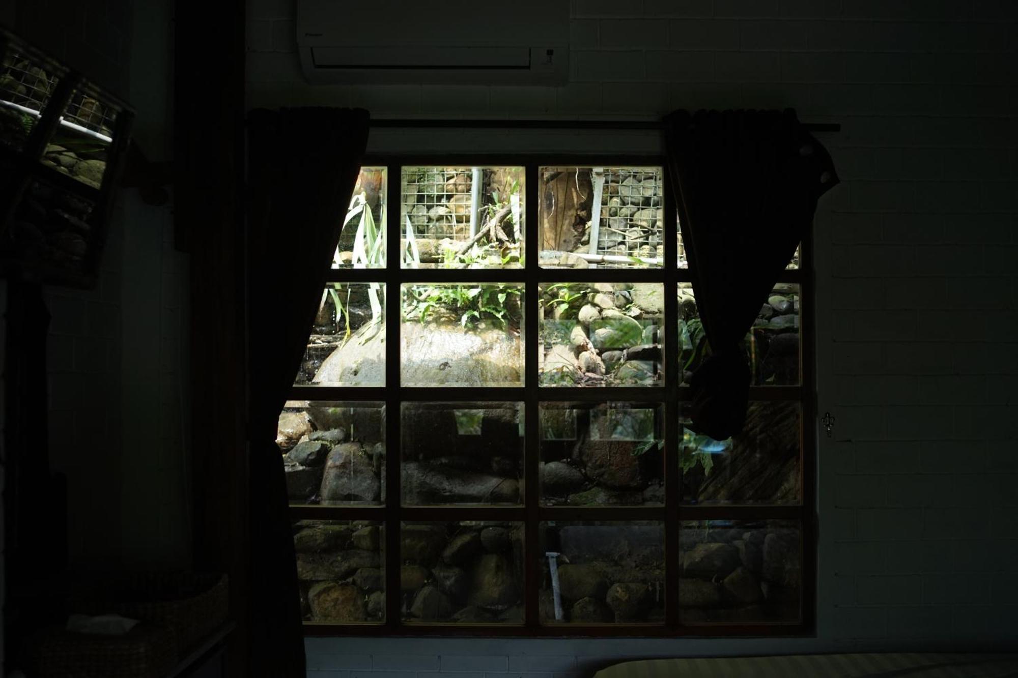 Tirta Arsanta Hot Springs&villa Villa